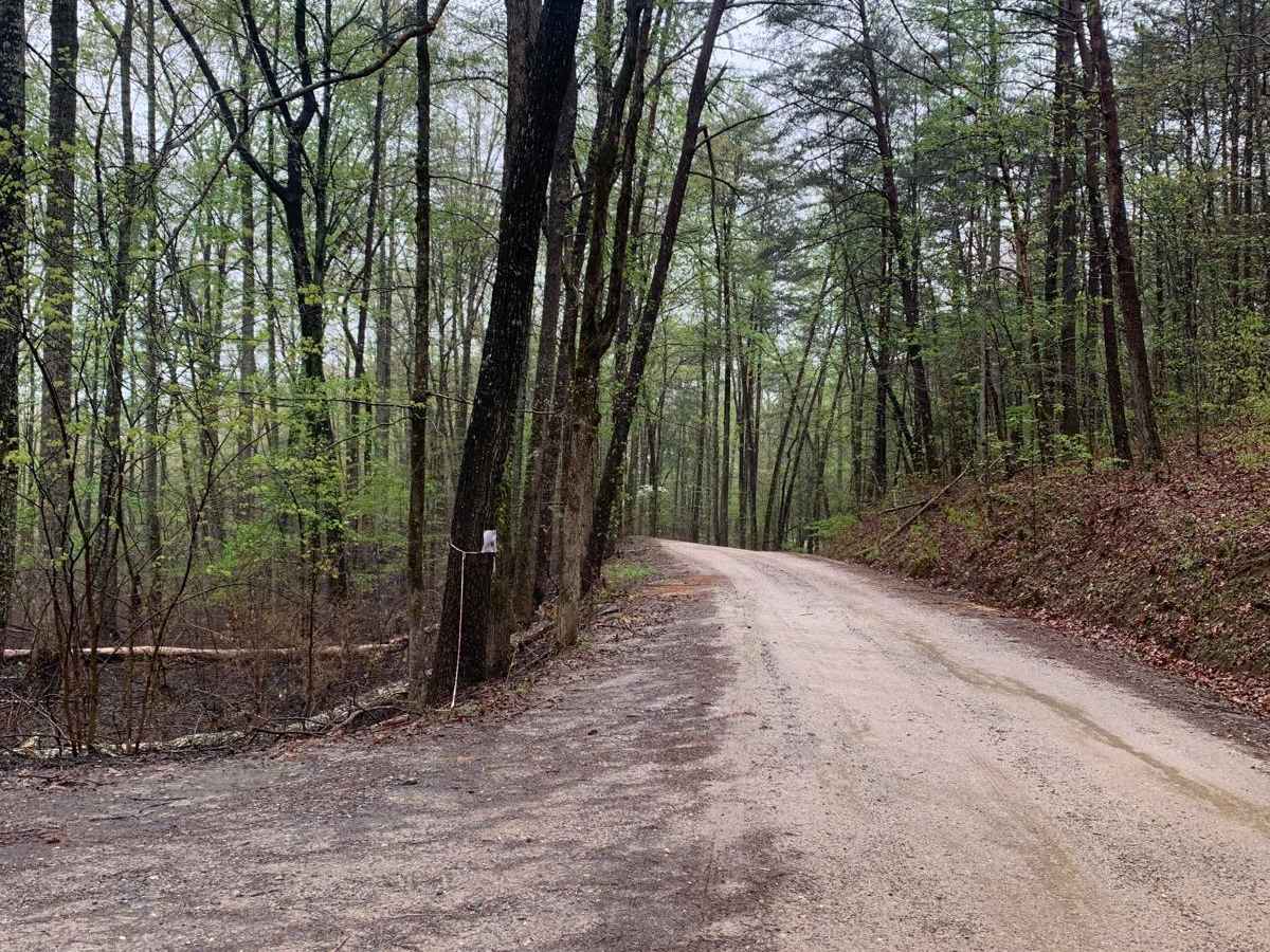 Baker Creek - Big Frog trail photo