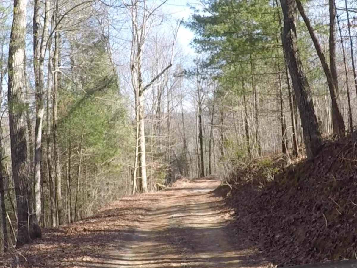 Duckett Ridge FSR #22B photo 6