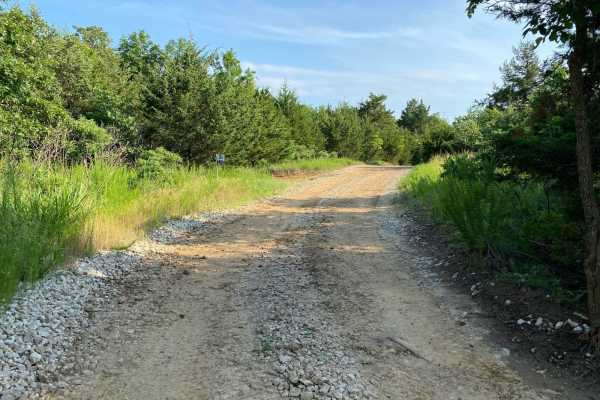 Main Loop