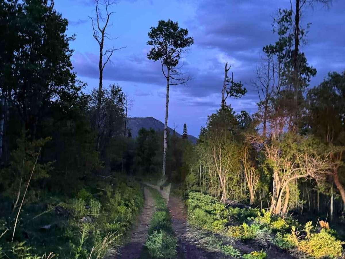 Rattlesnake Hill photo 5