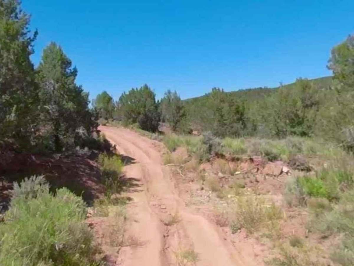 Big Dip Road-BLM1078 photo 5