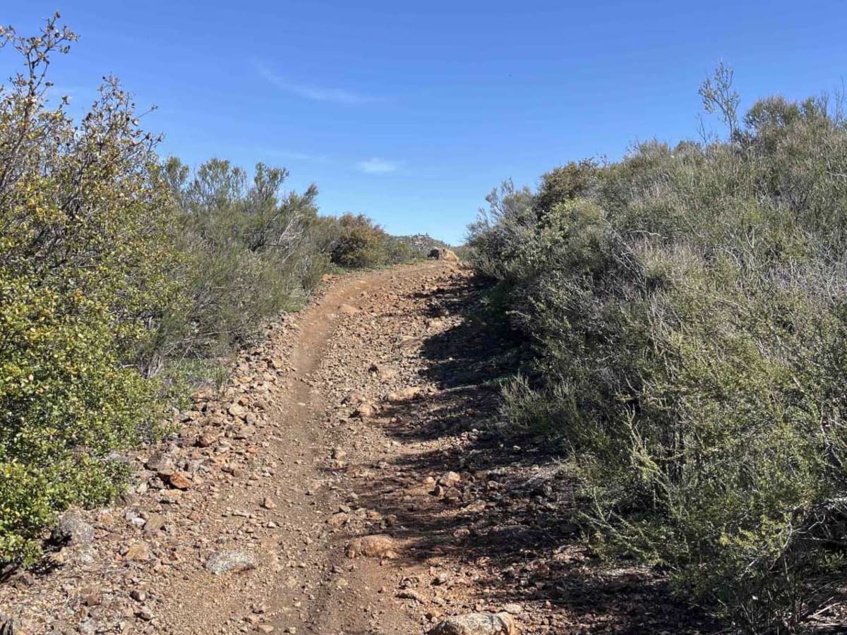 Spur Meadow photo 4