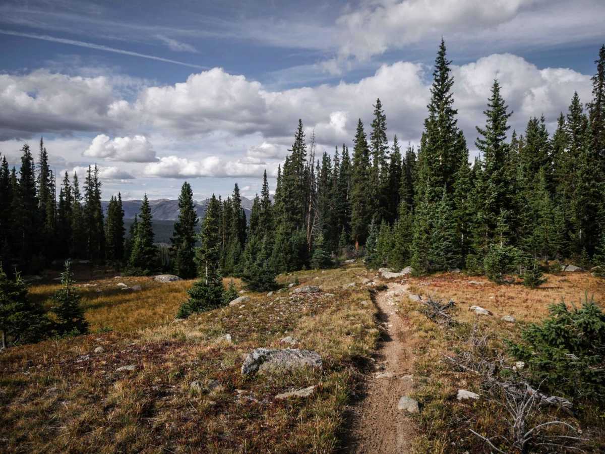 Doctor Park Trail trail photo