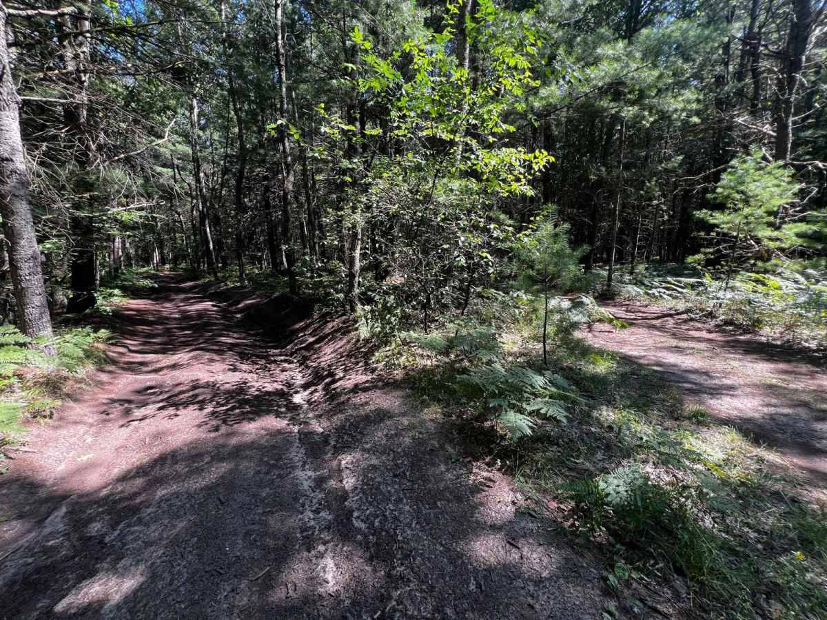 Rooted River Trail photo 6