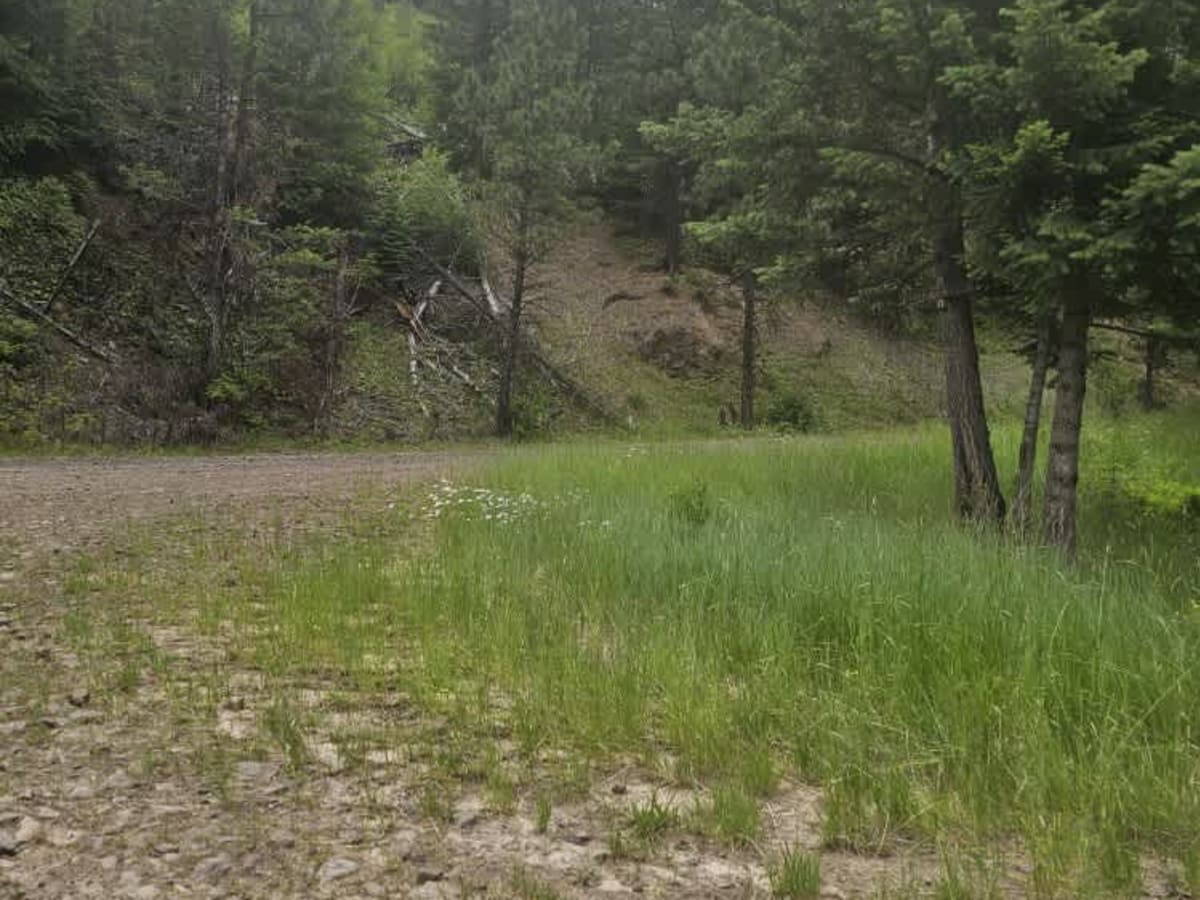 Pataha Cable Road photo 6
