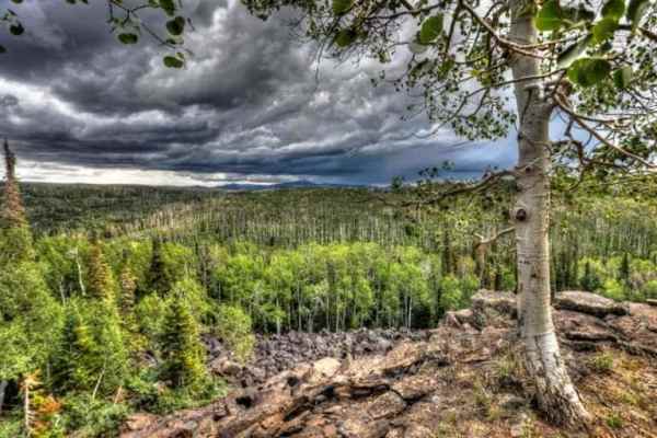 Kolob Terrace Road