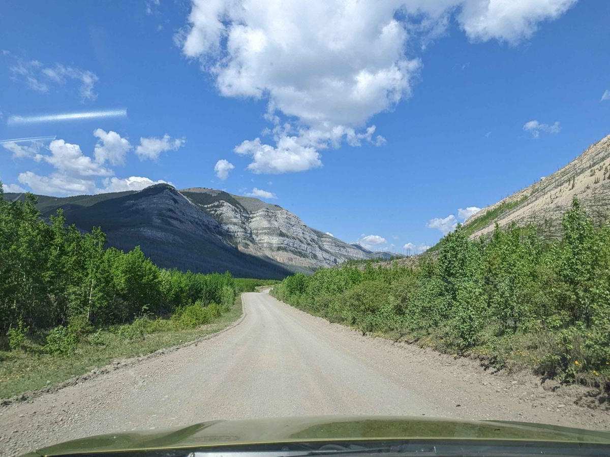 Ya Ha Tinda Road to Bighorn Falls photo 4