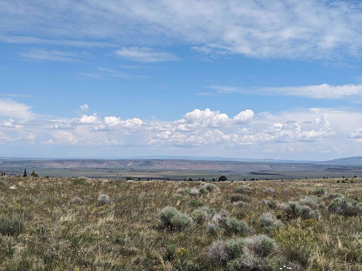 Moon Hill to Dust Bowl Road photo 3