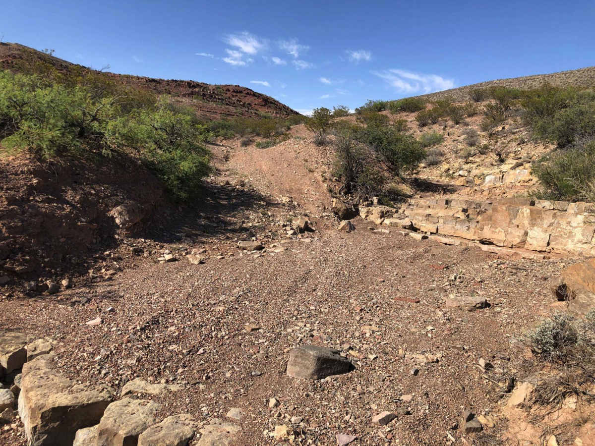 Coyote Exit photo 3