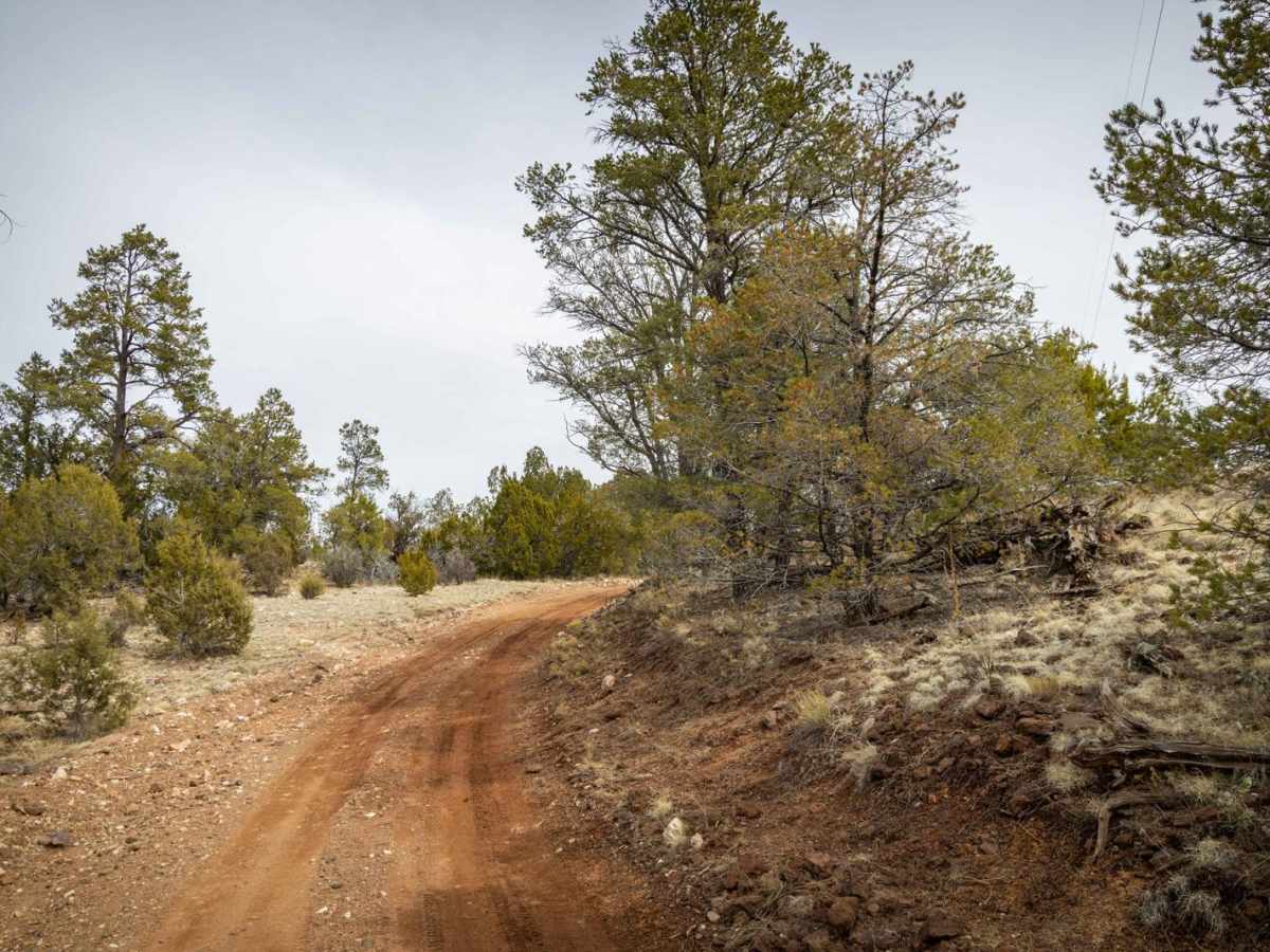 PNF-Powerline Section 2 photo 2