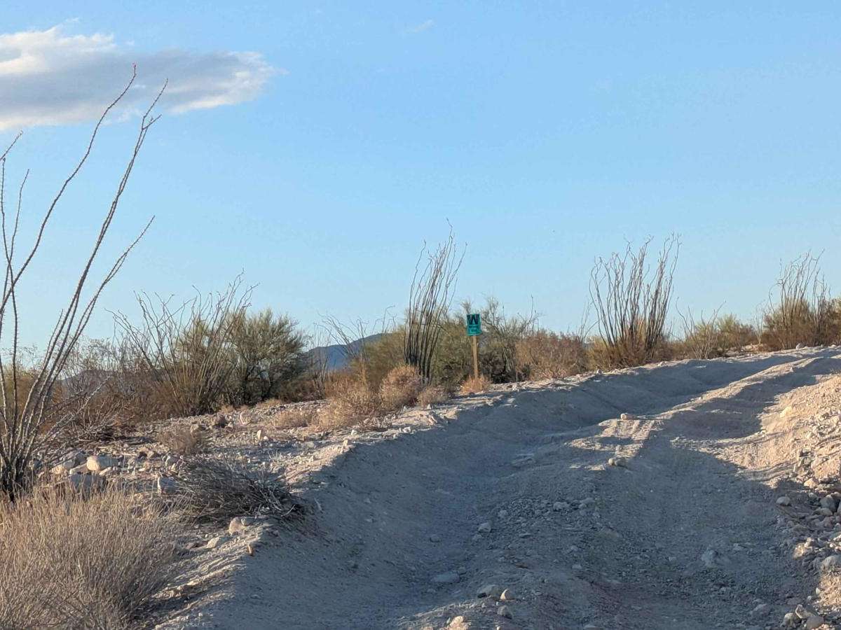 Baja Whoop Line photo 6