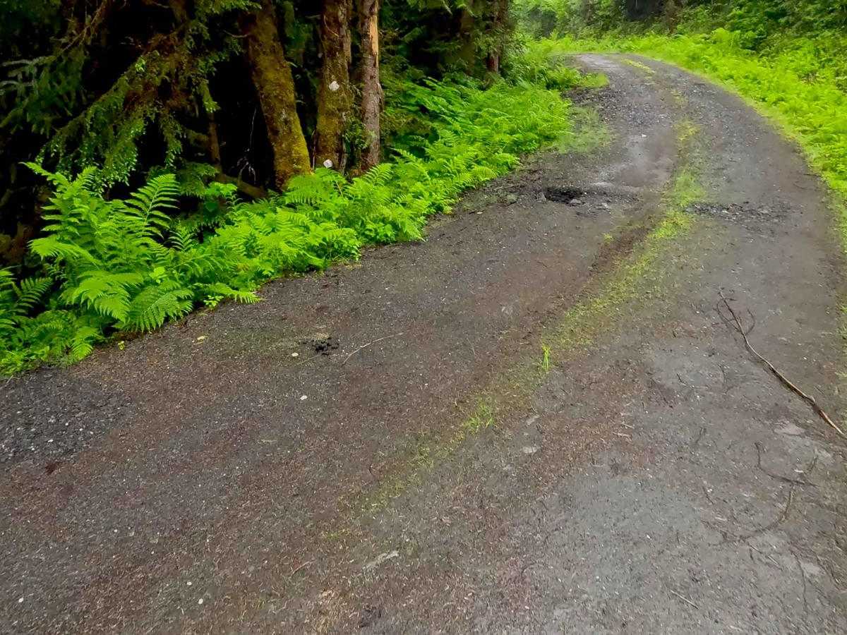 East Sumner Mountain 6281 photo 2