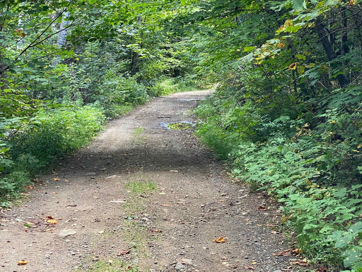 Lake Glen Road photo 6