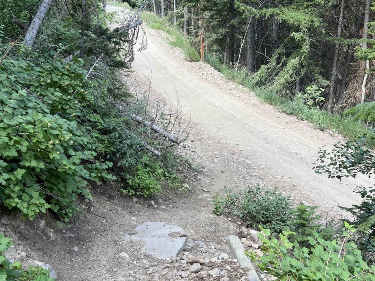 Bear Canyon Spur (2178) photo 5