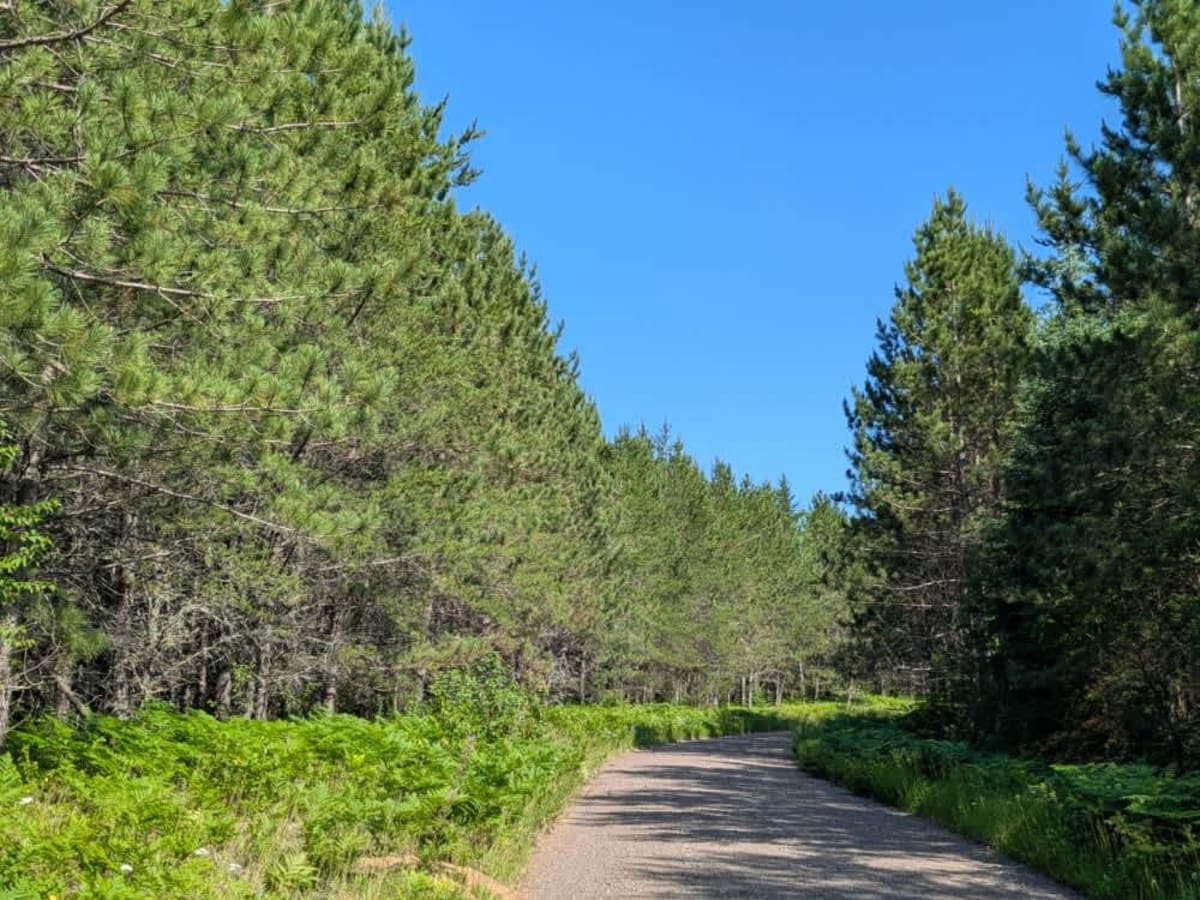 Berry Creek photo 2
