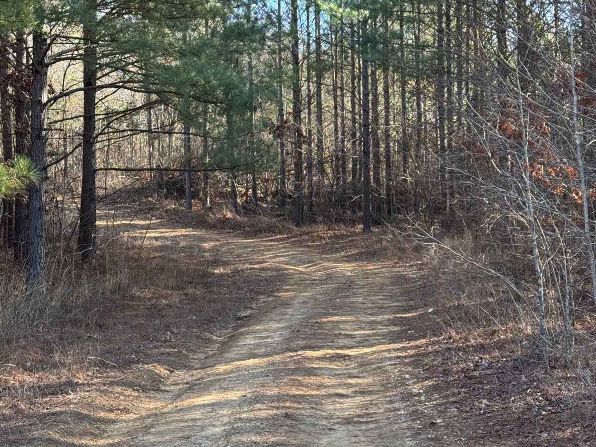 #21 Maynard's Trail trail photo