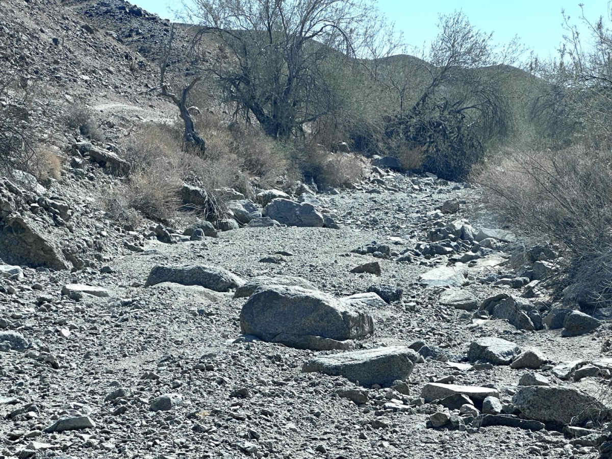 LCR1842 trail photo