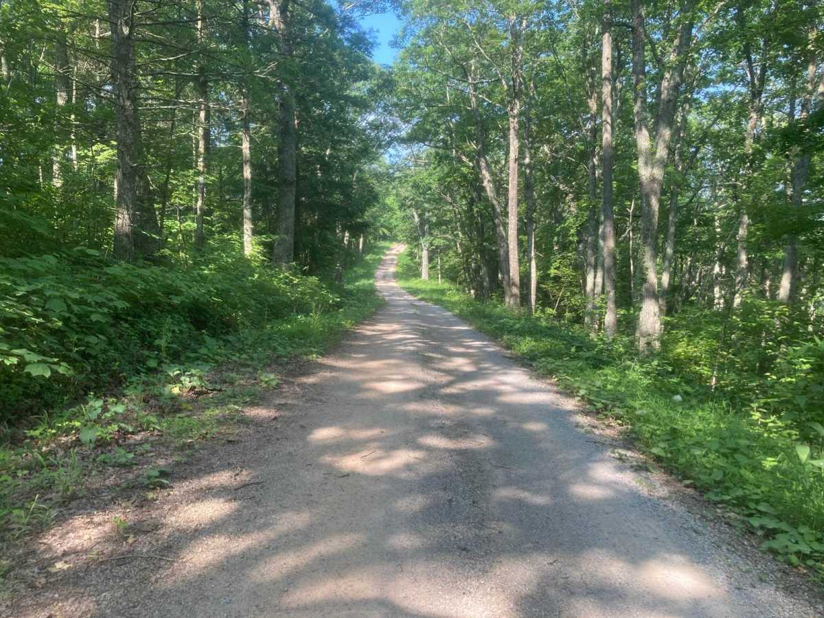 Iron Mountain trail photo