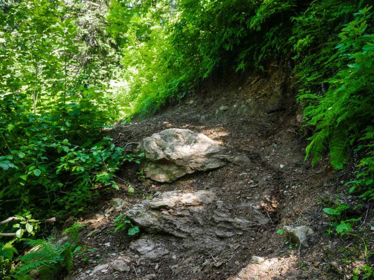 Cedar Creek trail photo