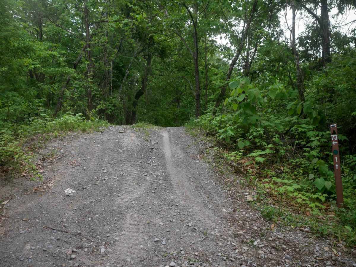 MV73 photo 4