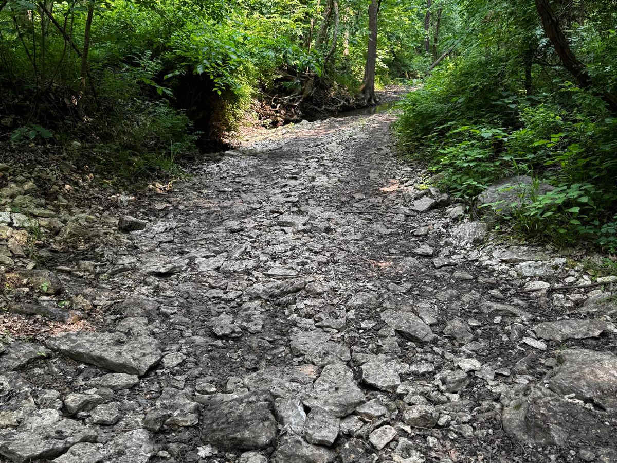 2 Finger 125 trail photo