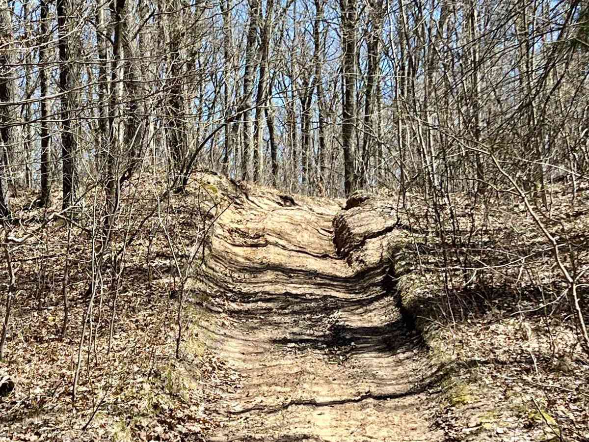NFS 9845 trail photo
