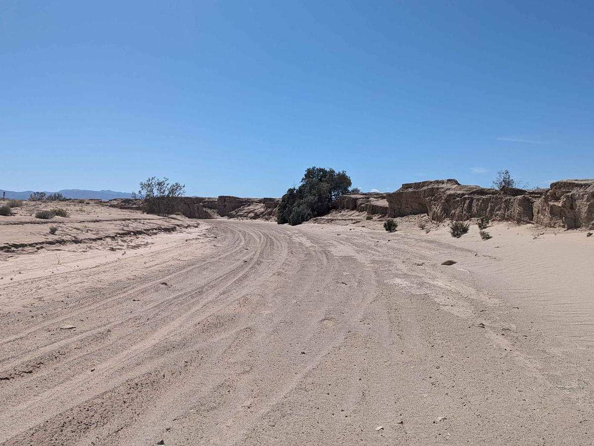 Campbell Wash photo 5