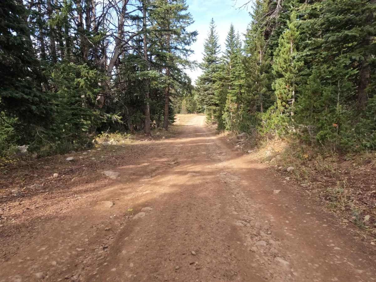 Cottonwood Creek Road - FS1012 photo 4
