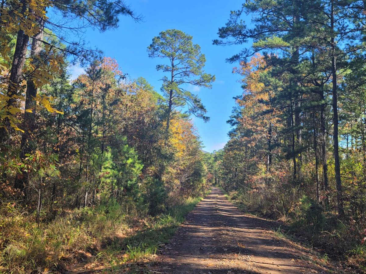Poteau Mountain And Rail Tracks photo 5