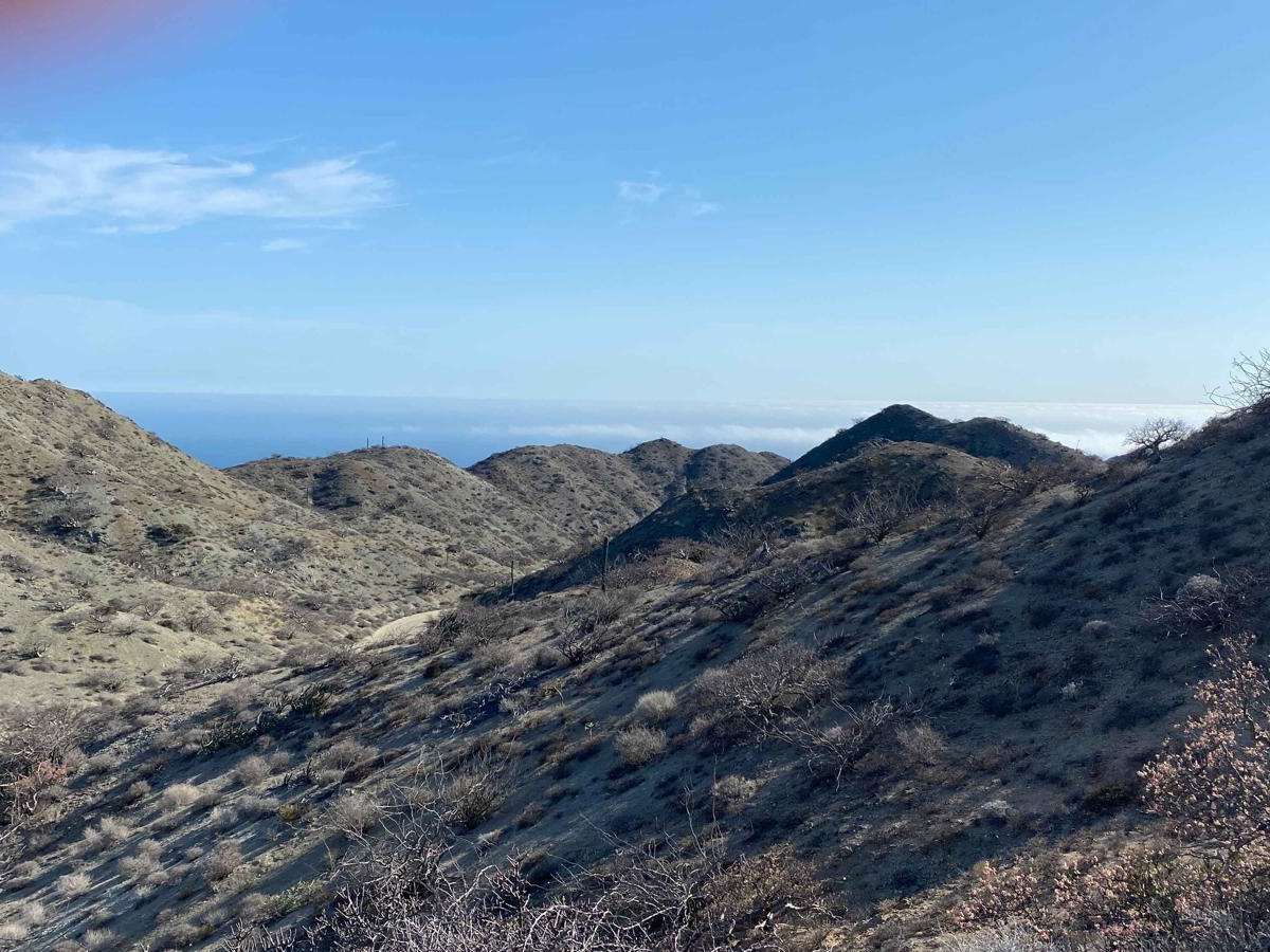 San Pablo Canyon Road and More photo 6