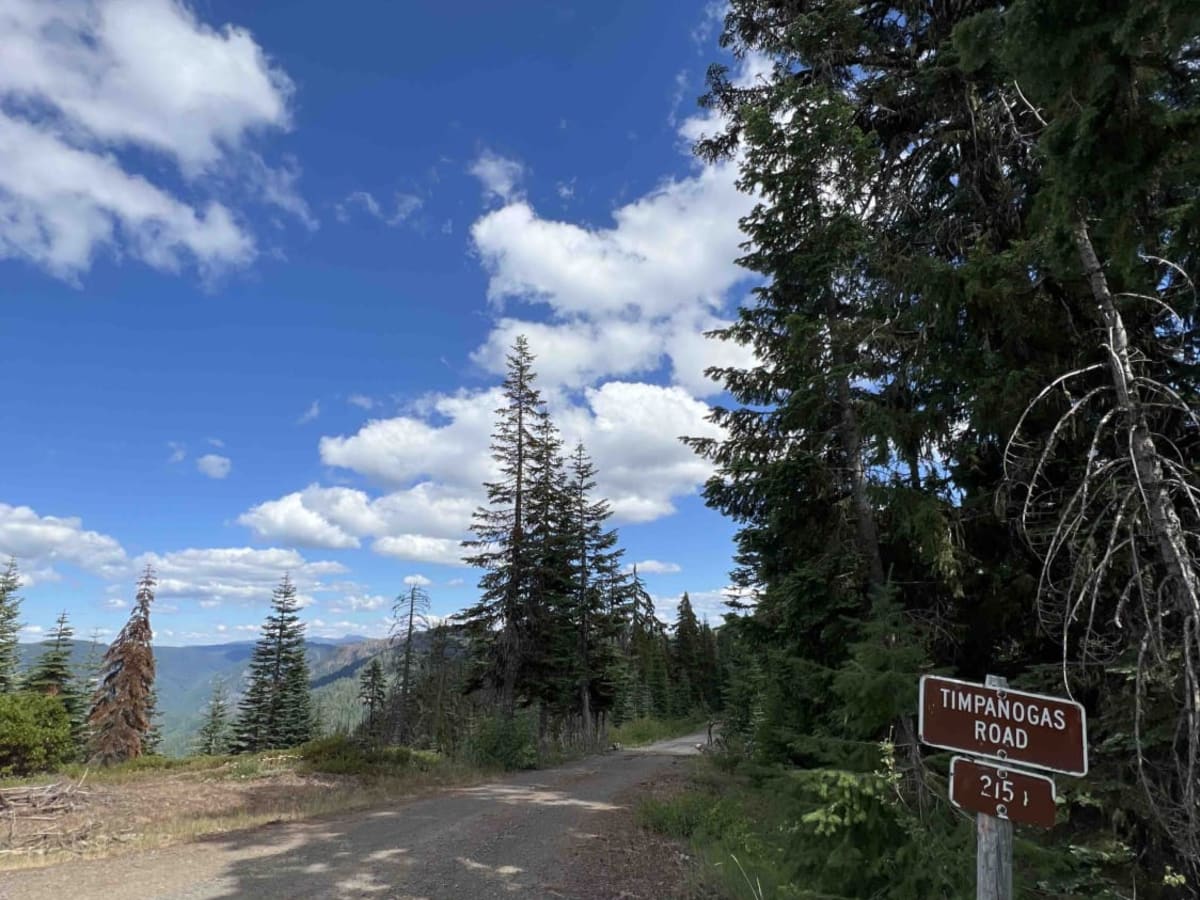 Timpanogas 2154 trail photo