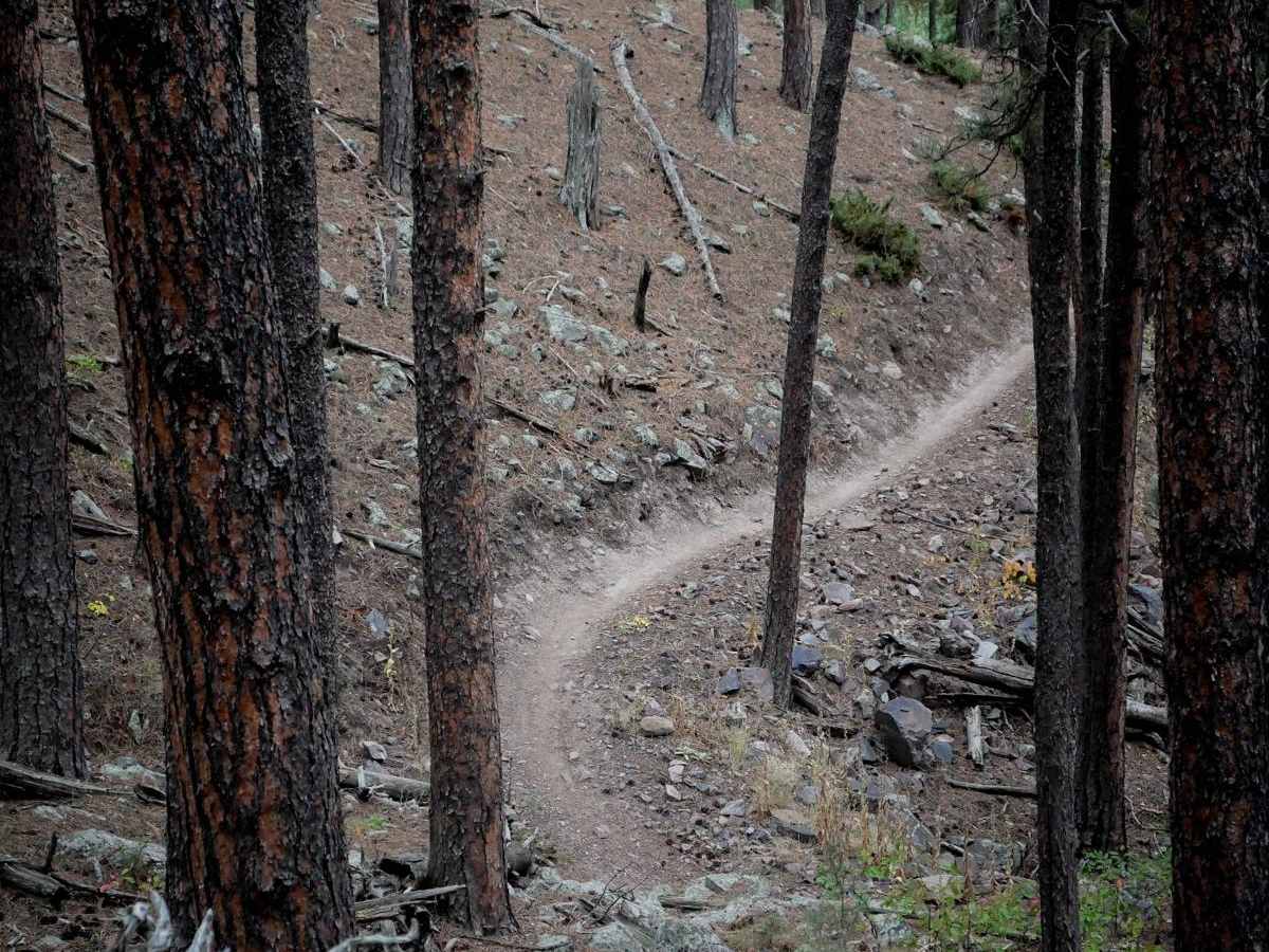 6617 trail photo