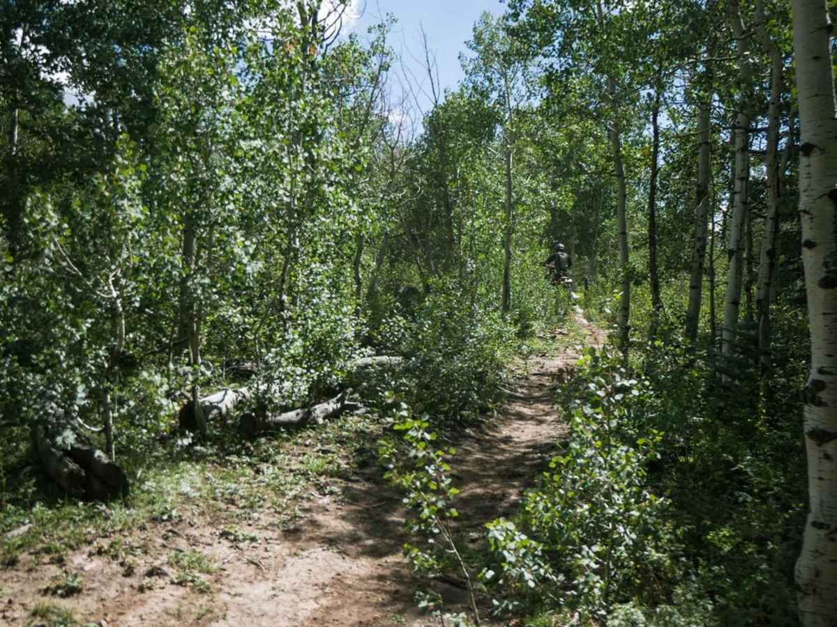Morrison Trail (Part 2) photo 2