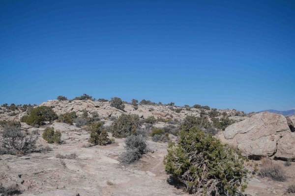 Lost Spring Wash