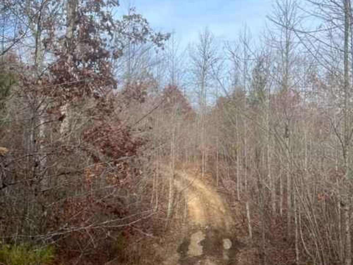 Coalmont Trail 15 photo 5