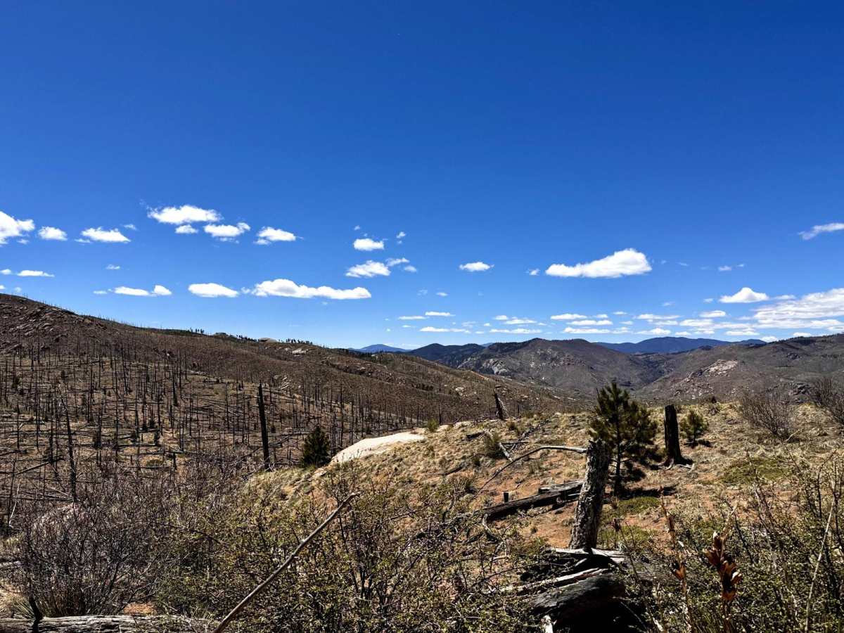 Metberry Gulch (FS 205) photo 5