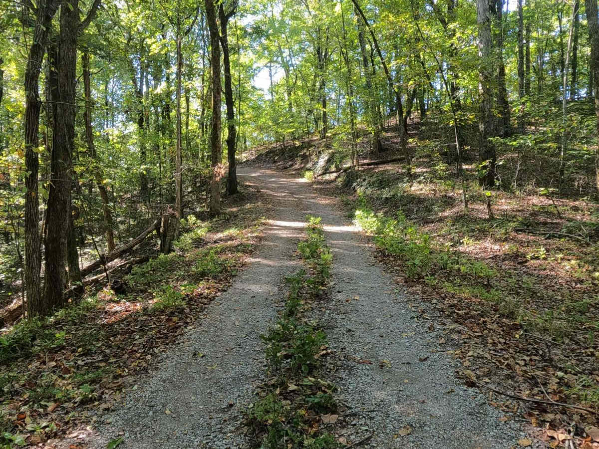 Mays Hollow Road - FS 343 photo 5