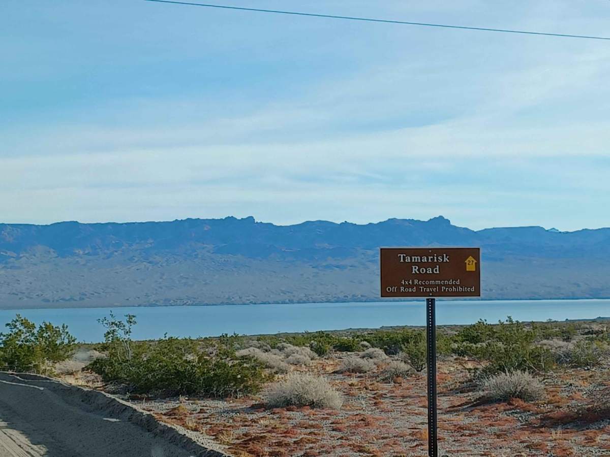 Tamarisk Road trail photo