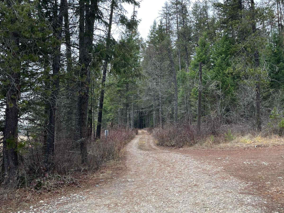 Bayley Lake Road photo 4