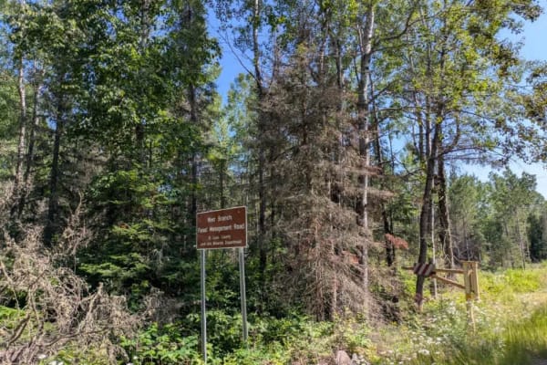 West Branch Trail