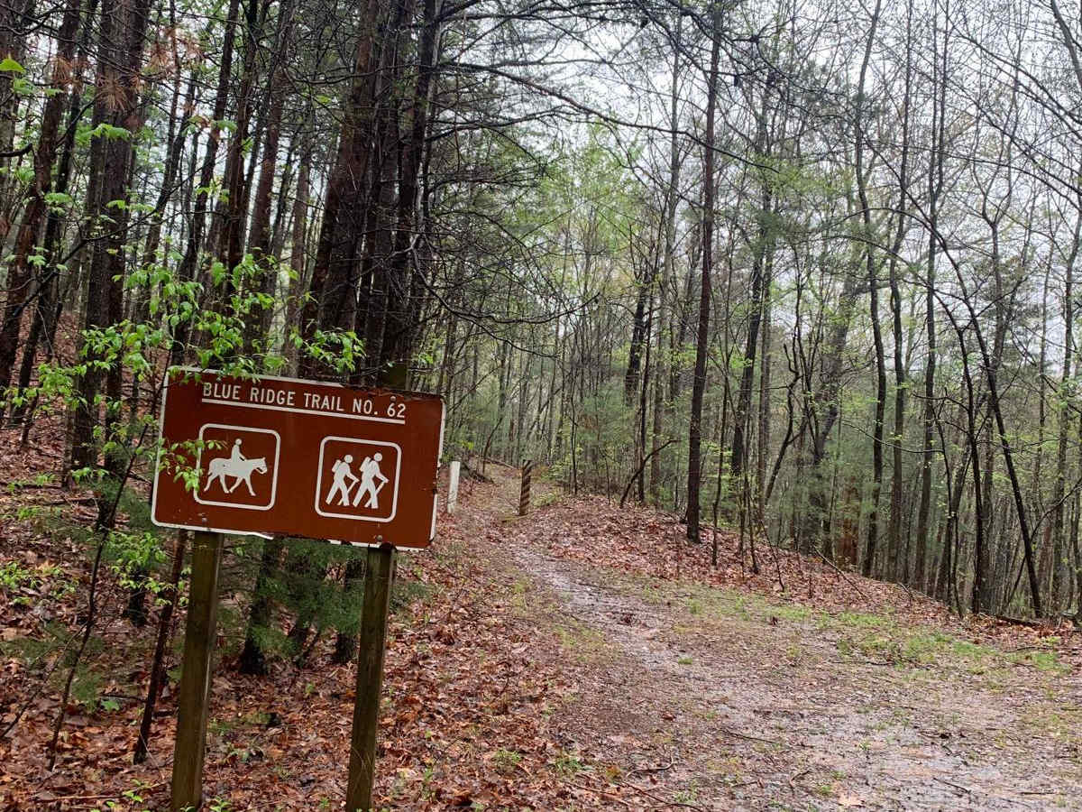 Blue Ridge Trail - Big Frog photo 5