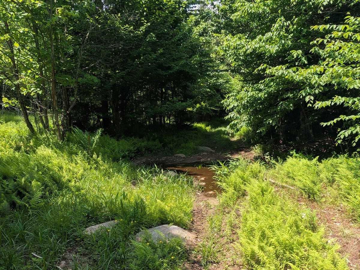 Sellecks Road Loop photo 6