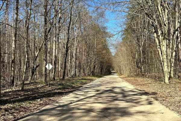 Cadillac Area ORV/OHV Scenic Ride - 9930