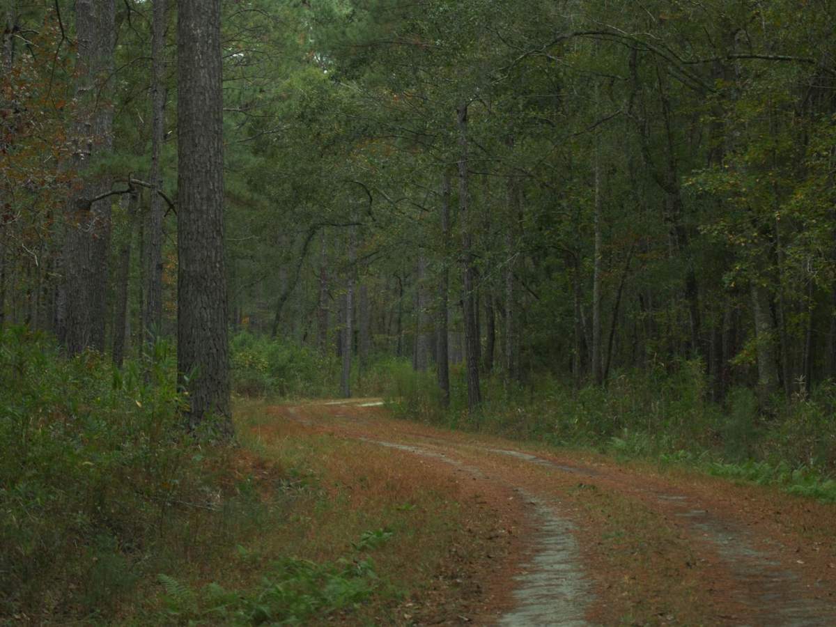 Donnelly WMA PT.3 photo 4