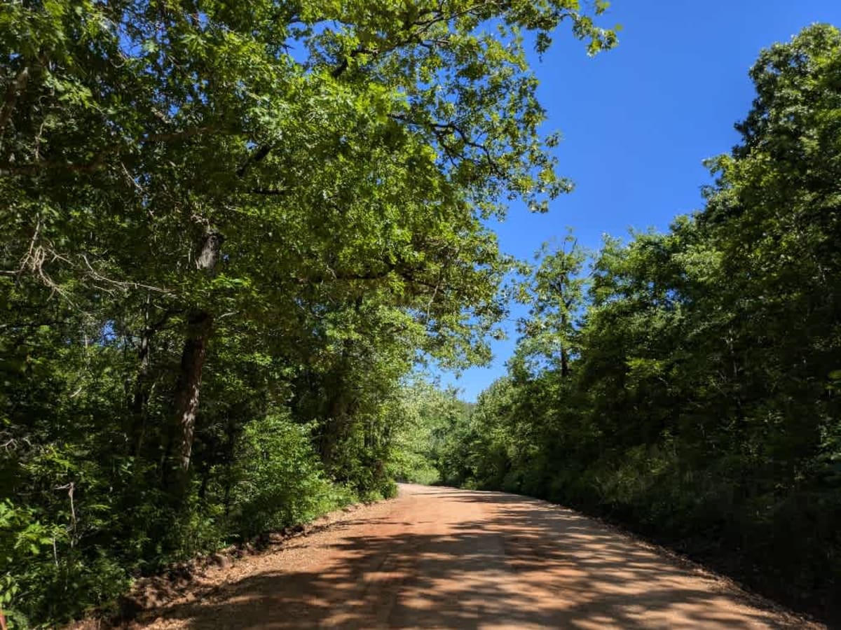 South 490 trail photo