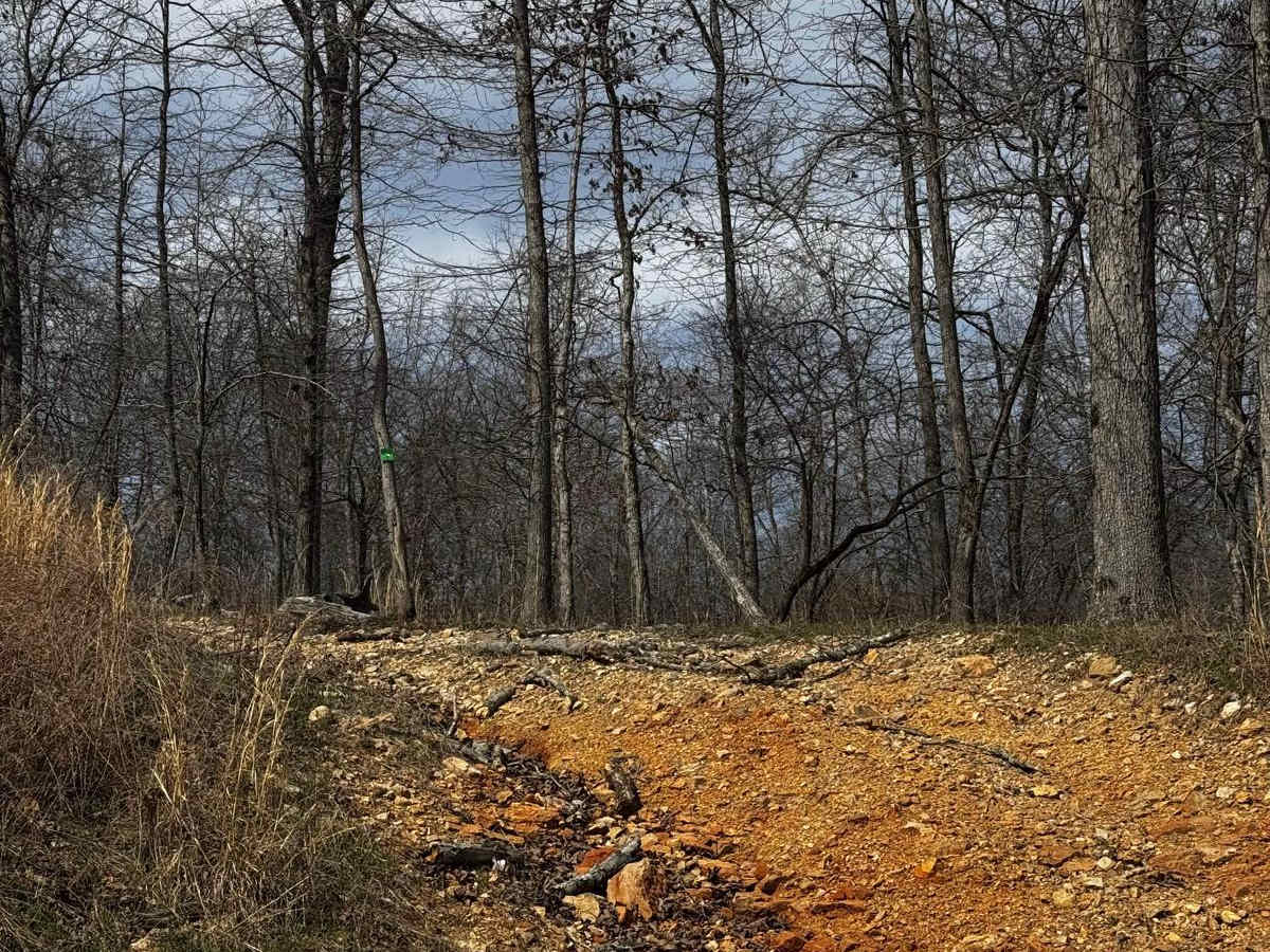 Hillside Trail 4 trail photo
