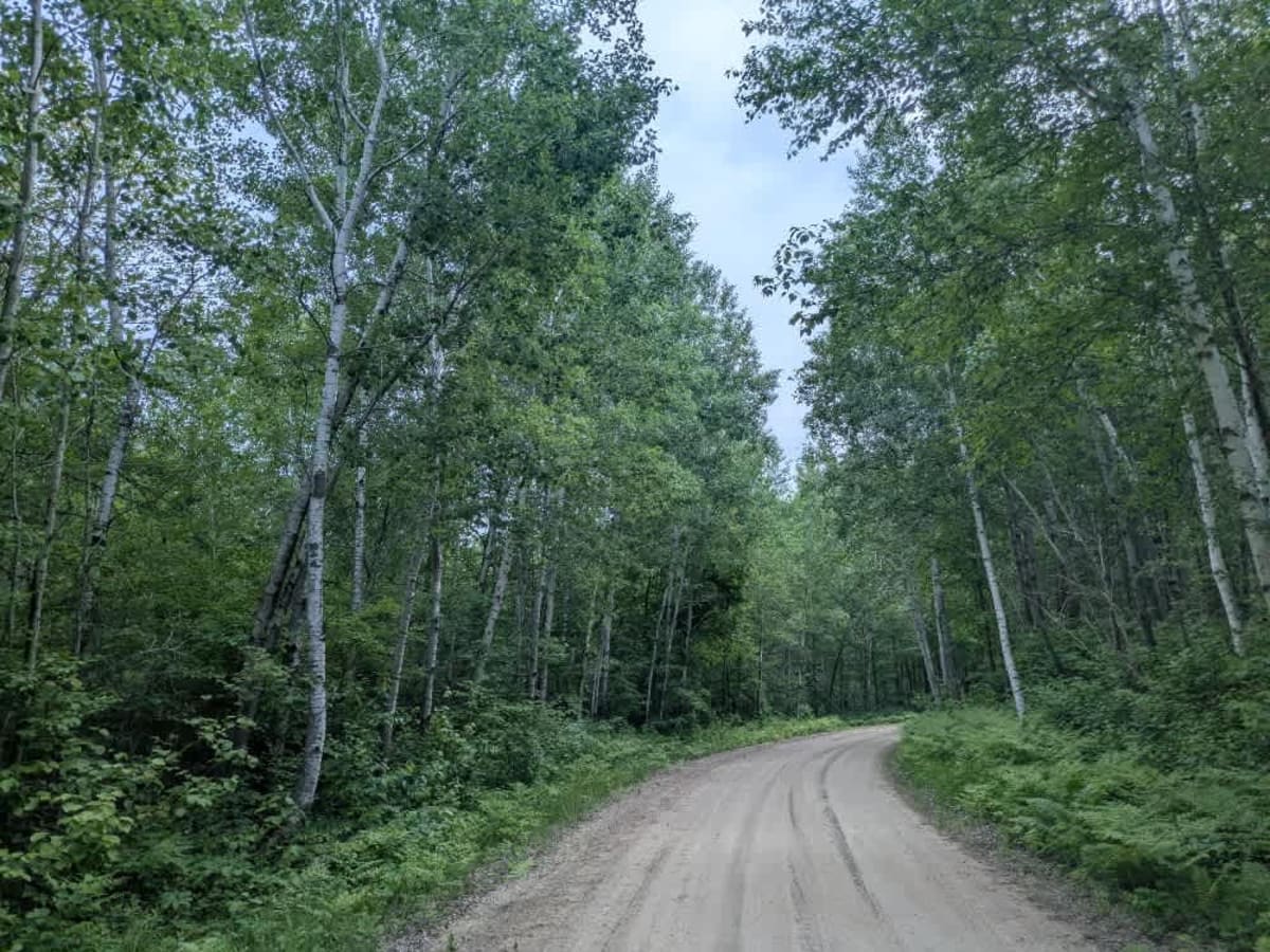 Pennington Truck Trail photo 3