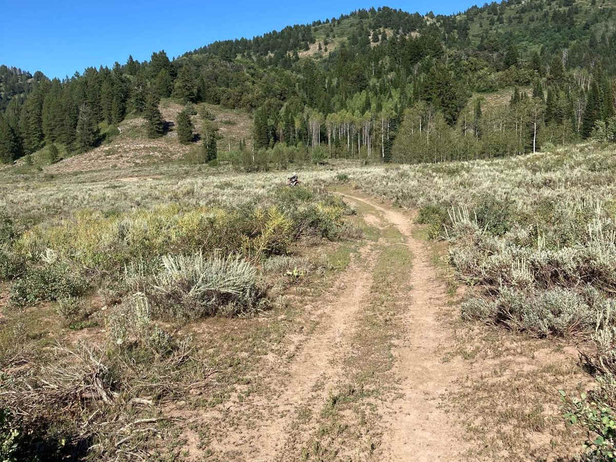 Lower Cub River Trail photo 4