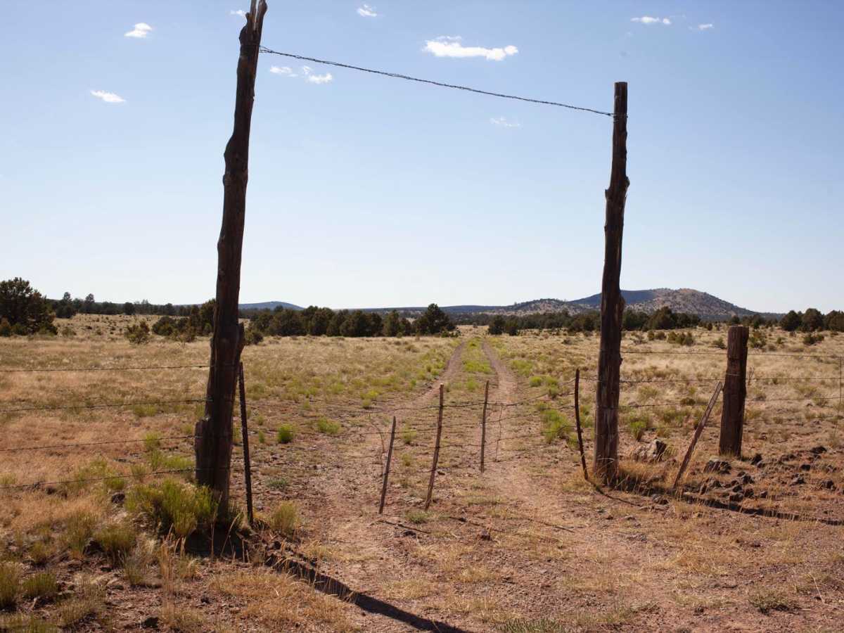 Butcherknife trail photo