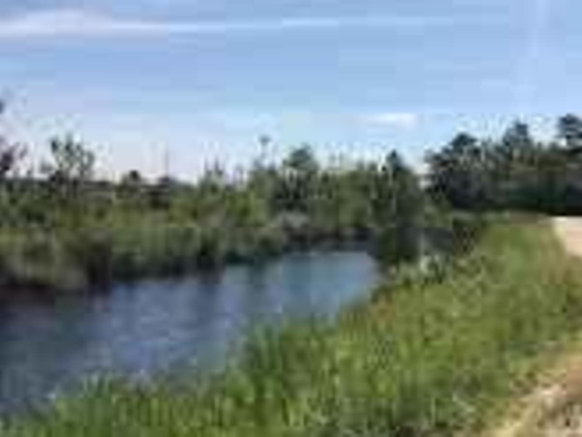 Whitesbog Village Trail photo 2